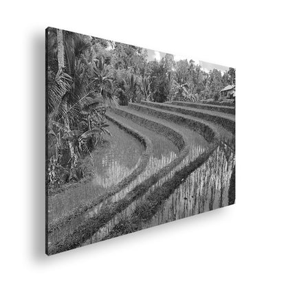 Hauptbild Schwarz & Weiß Standart