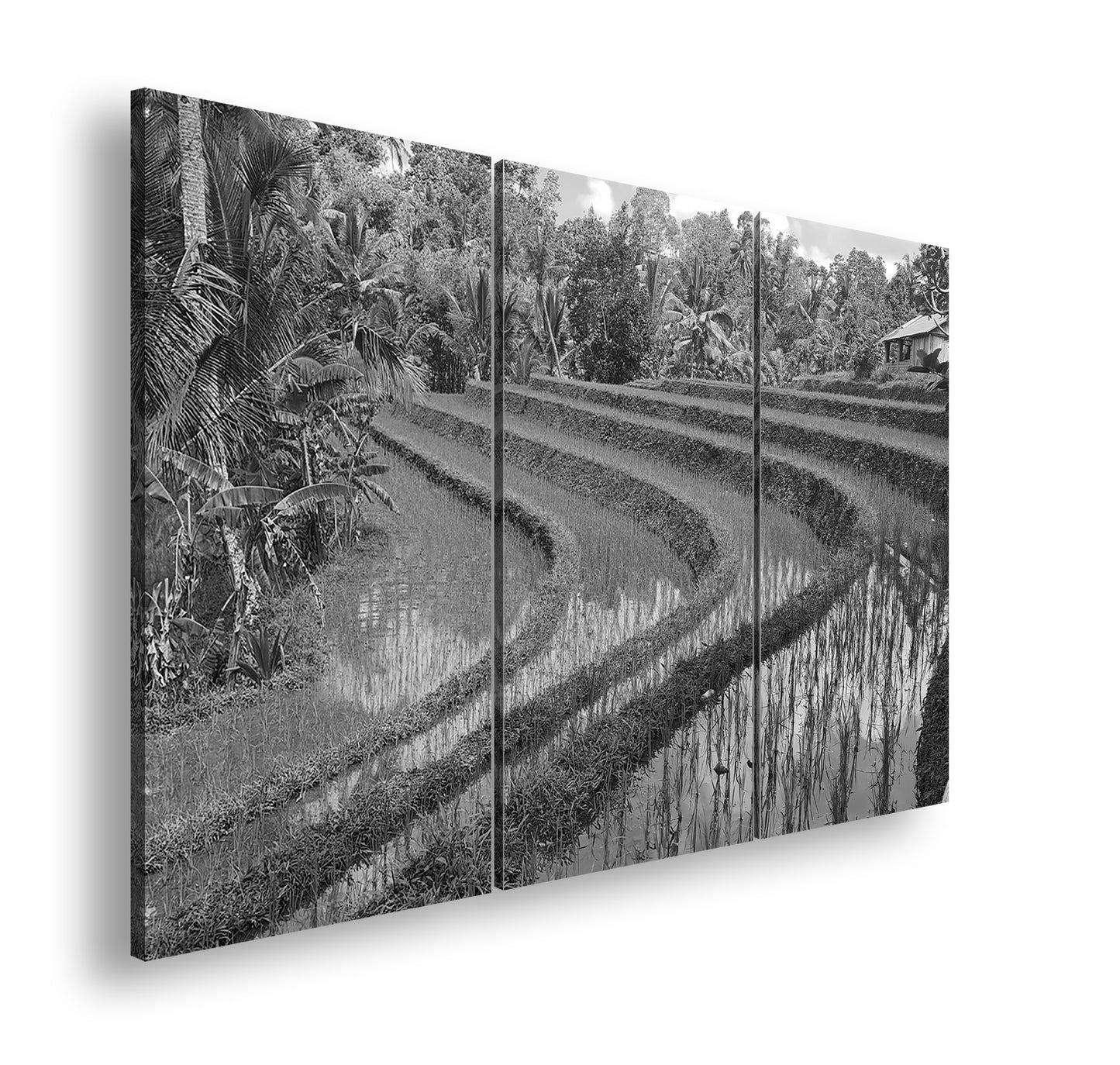 Hauptbild Schwarz & Weiß 3 Teilig