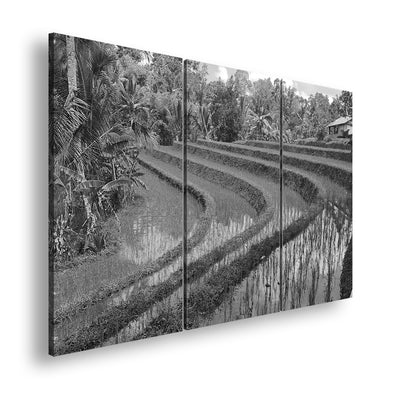 Hauptbild Schwarz & Weiß 3 Teilig