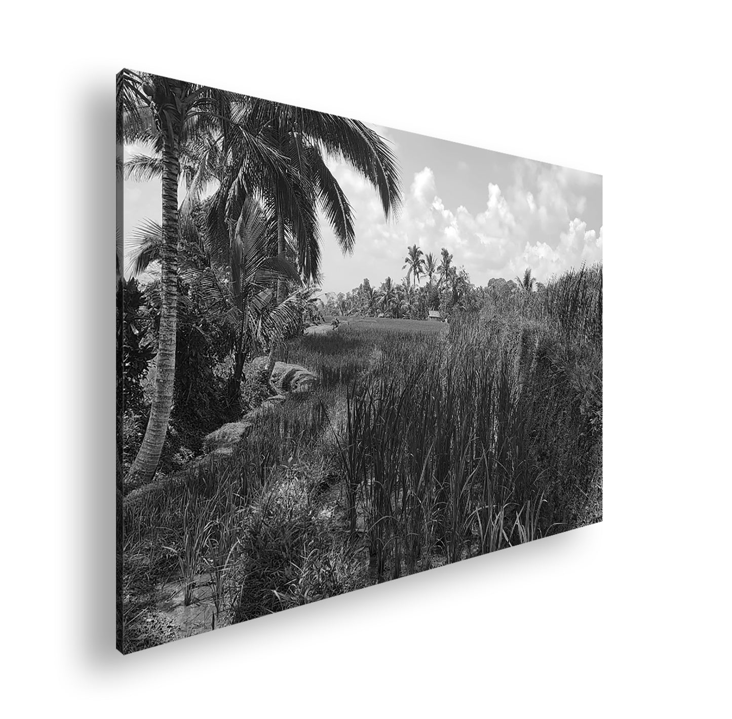 Hauptbild Schwarz & Weiß Standart