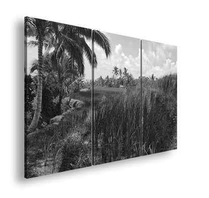 Hauptbild Schwarz & Weiß 3 Teilig