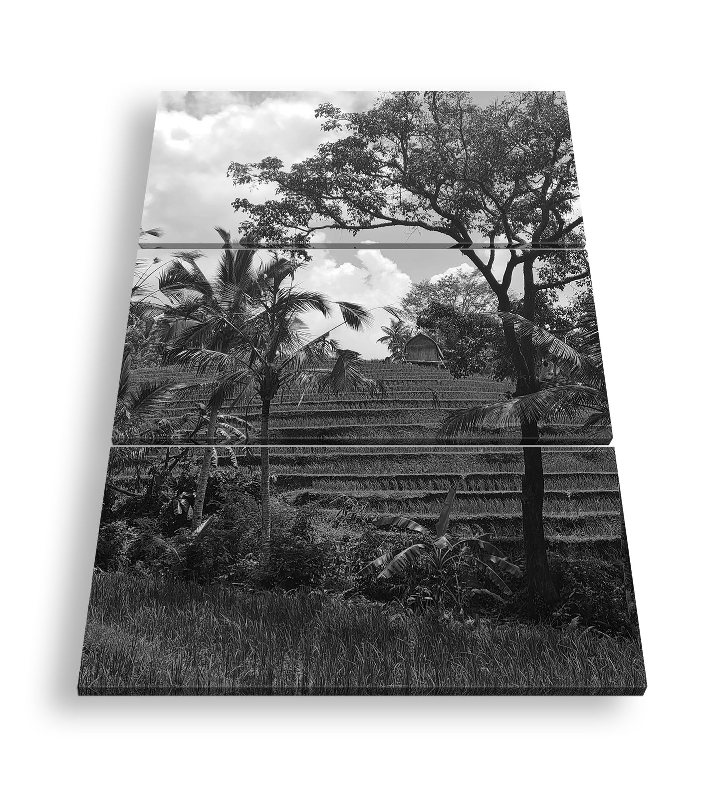 Hauptbild Schwarz & Weiß 3 Teilig