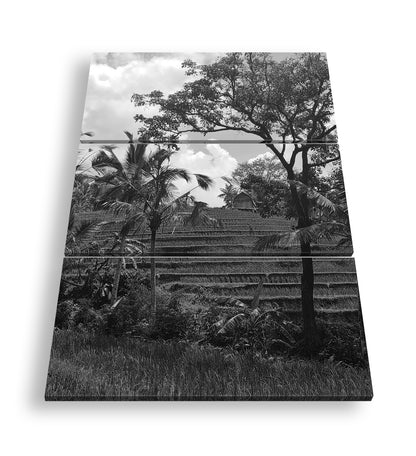 Hauptbild Schwarz & Weiß 3 Teilig