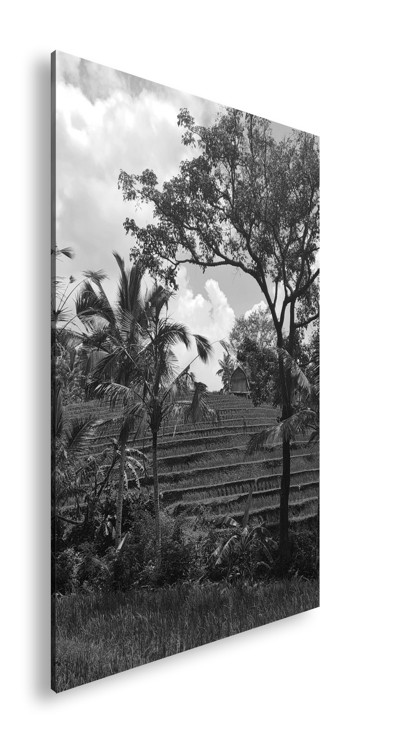 Hauptbild Schwarz & Weiß Standart