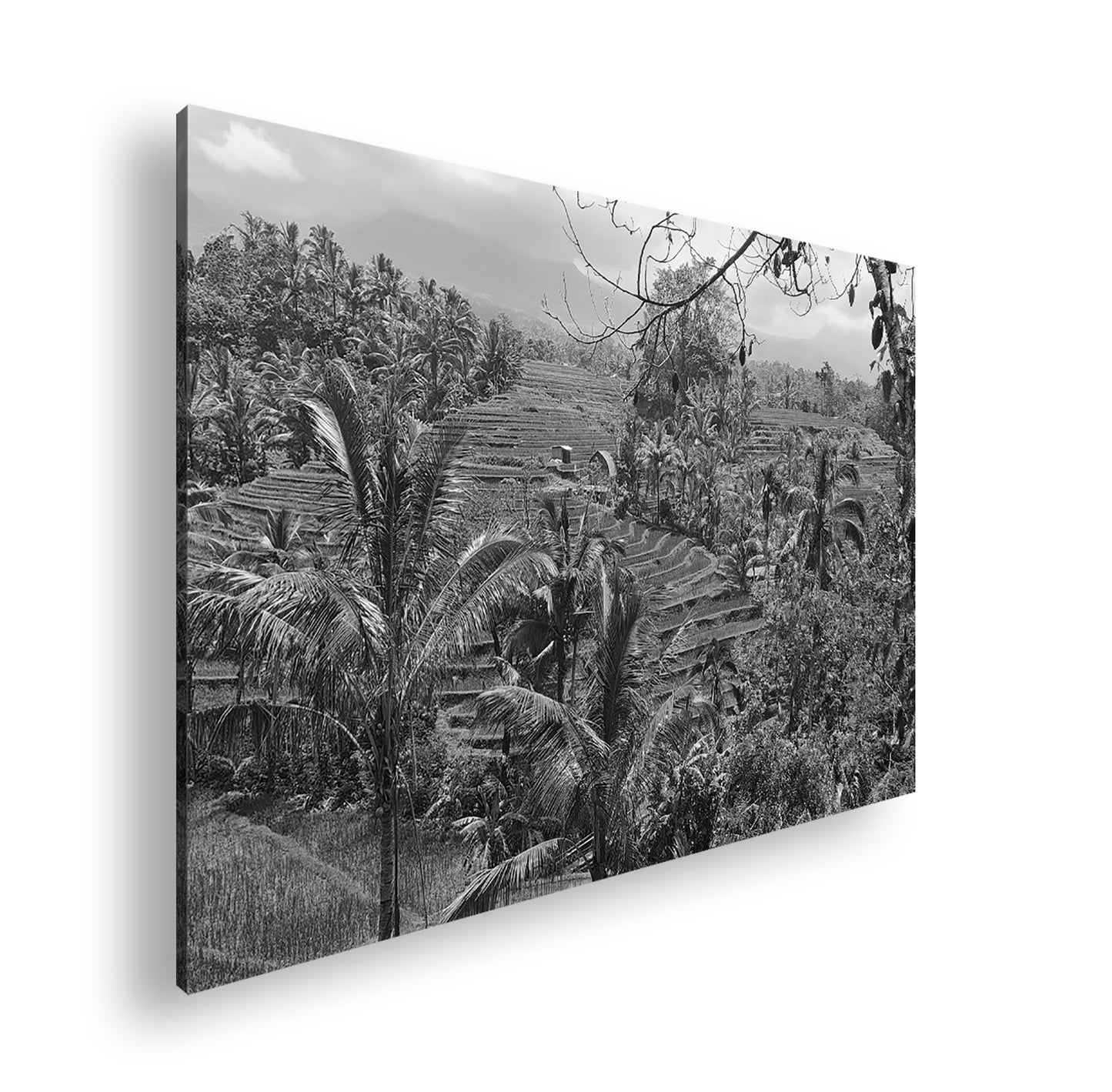 Hauptbild Schwarz & Weiß Standart