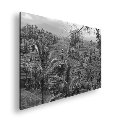 Hauptbild Schwarz & Weiß Standart