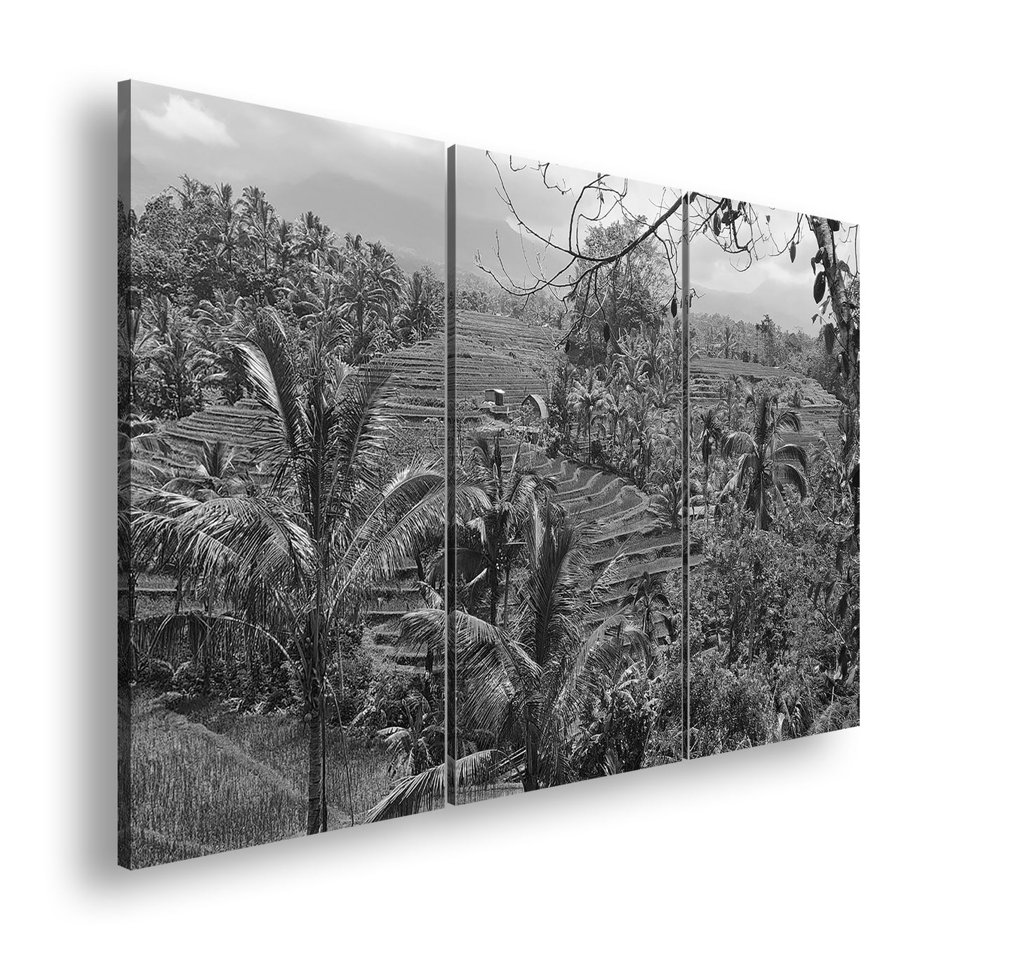 Hauptbild Schwarz & Weiß 3 Teilig