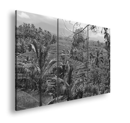 Hauptbild Schwarz & Weiß 3 Teilig