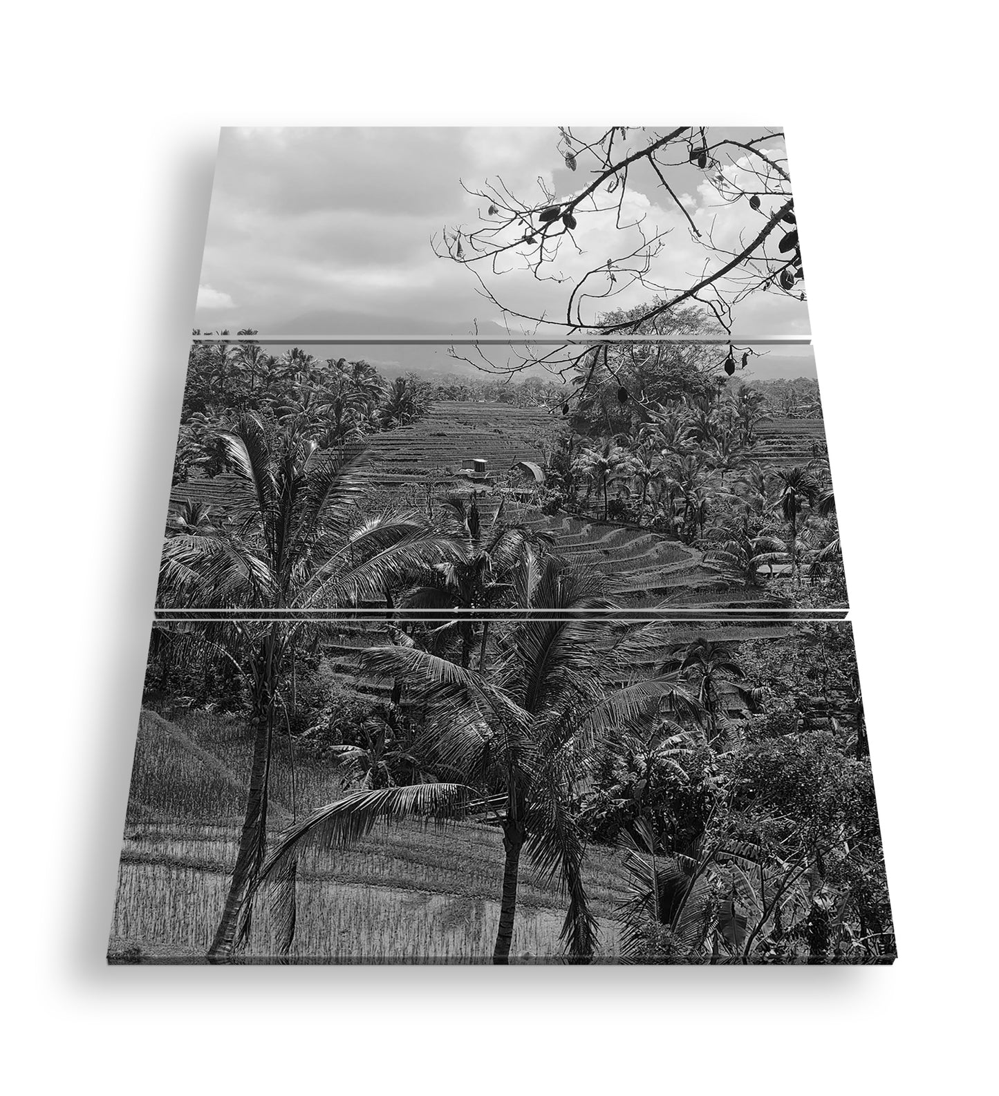 Hauptbild Schwarz & Weiß 3 Teilig