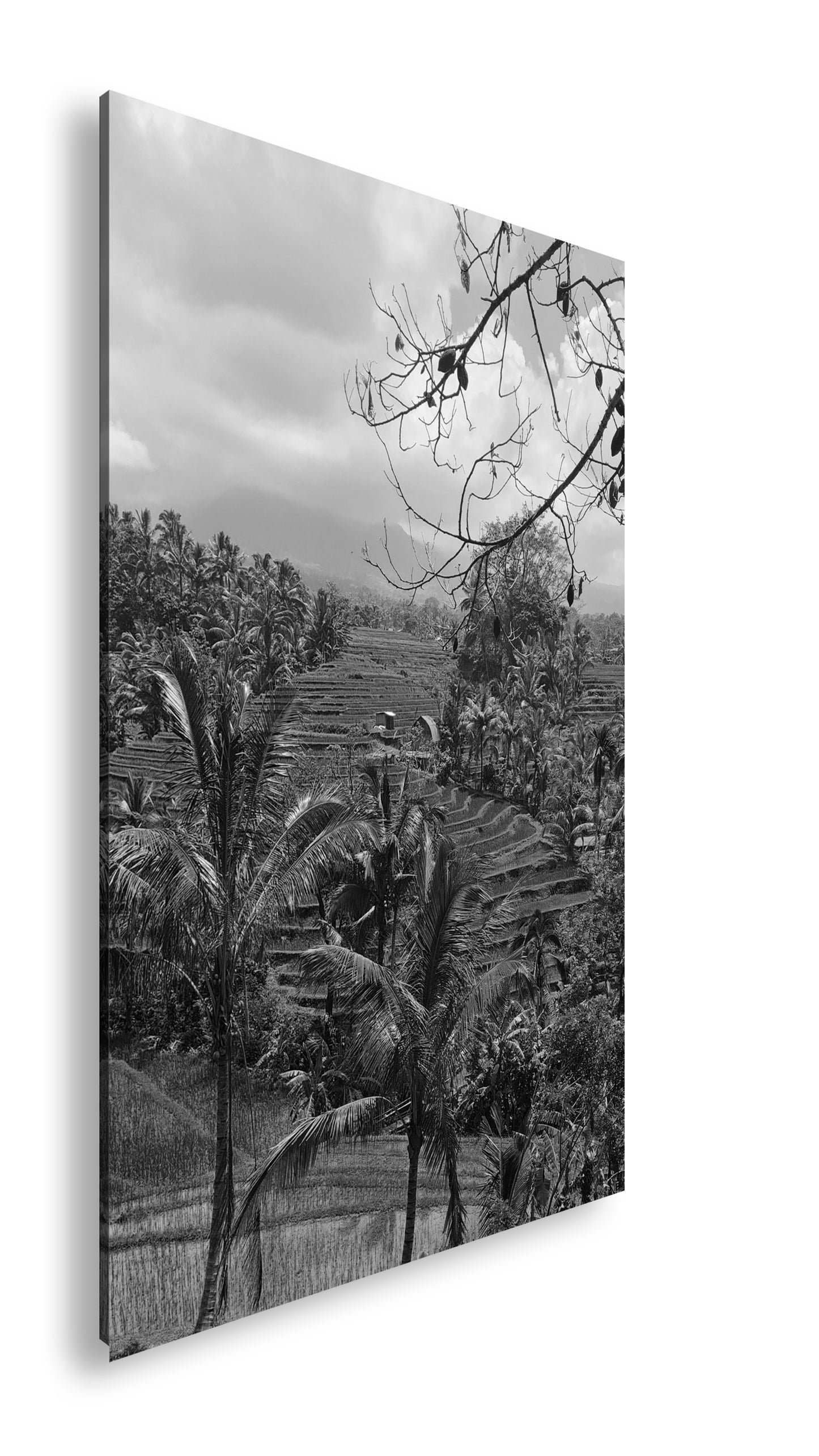 Hauptbild Schwarz & Weiß Standart