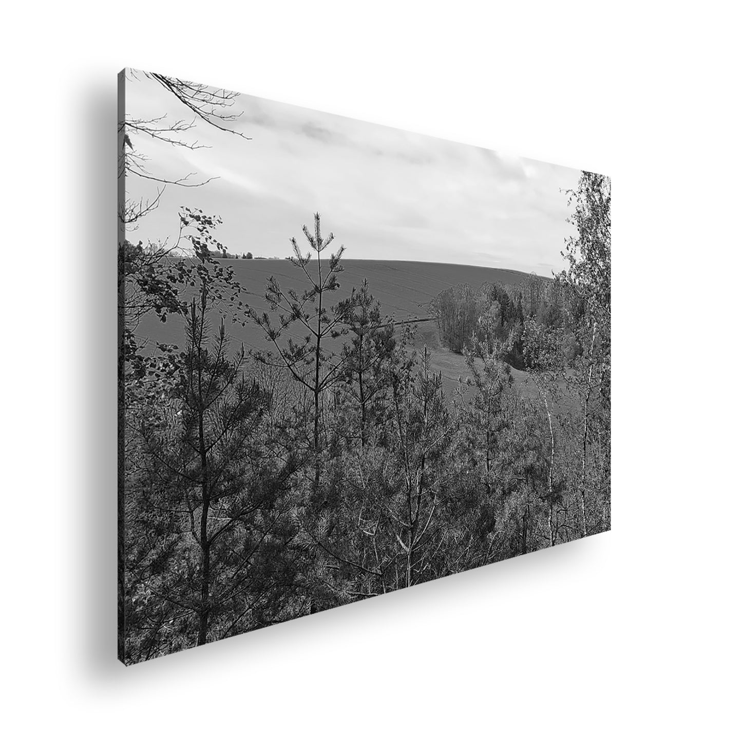 Hauptbild Schwarz & Weiß Standart