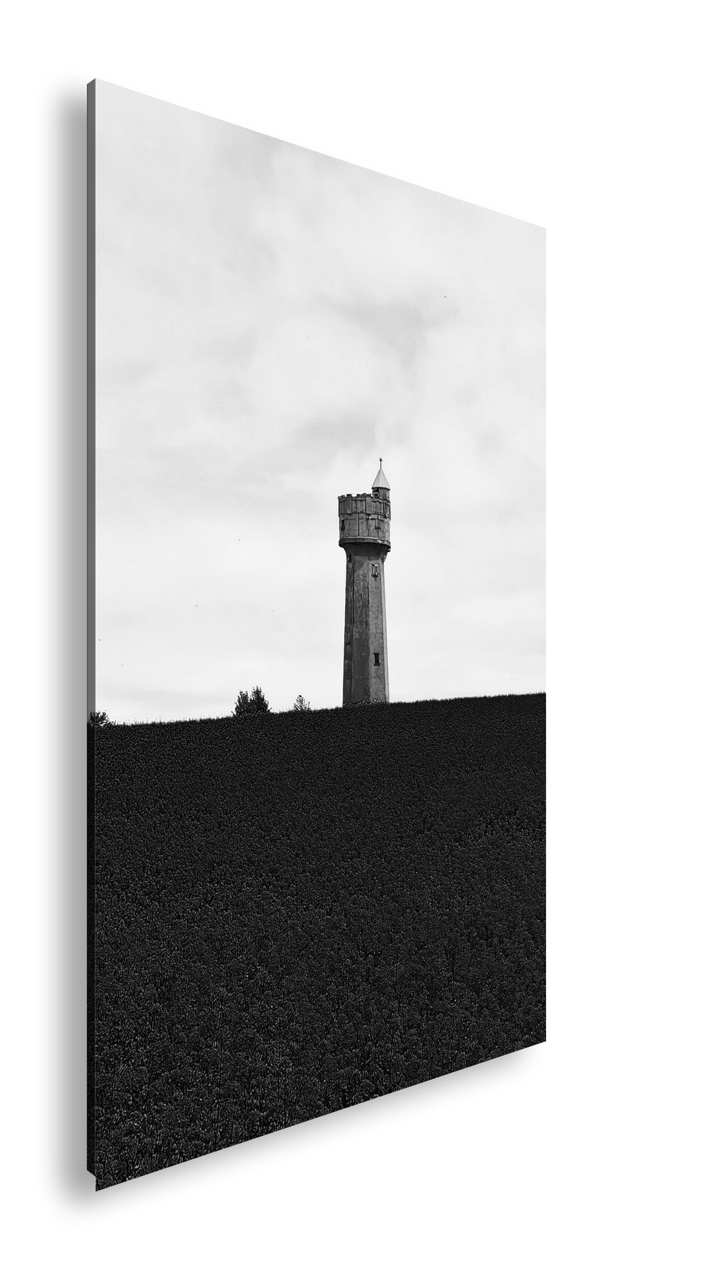 Hauptbild Schwarz & Weiß Standart