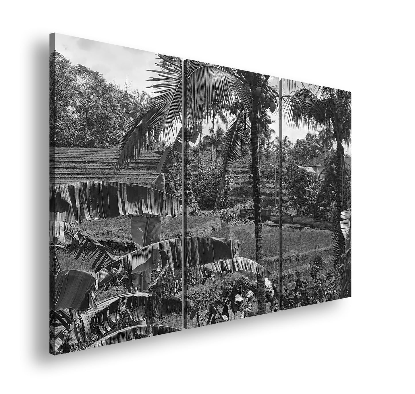 Hauptbild Schwarz & Weiß 3 Teilig