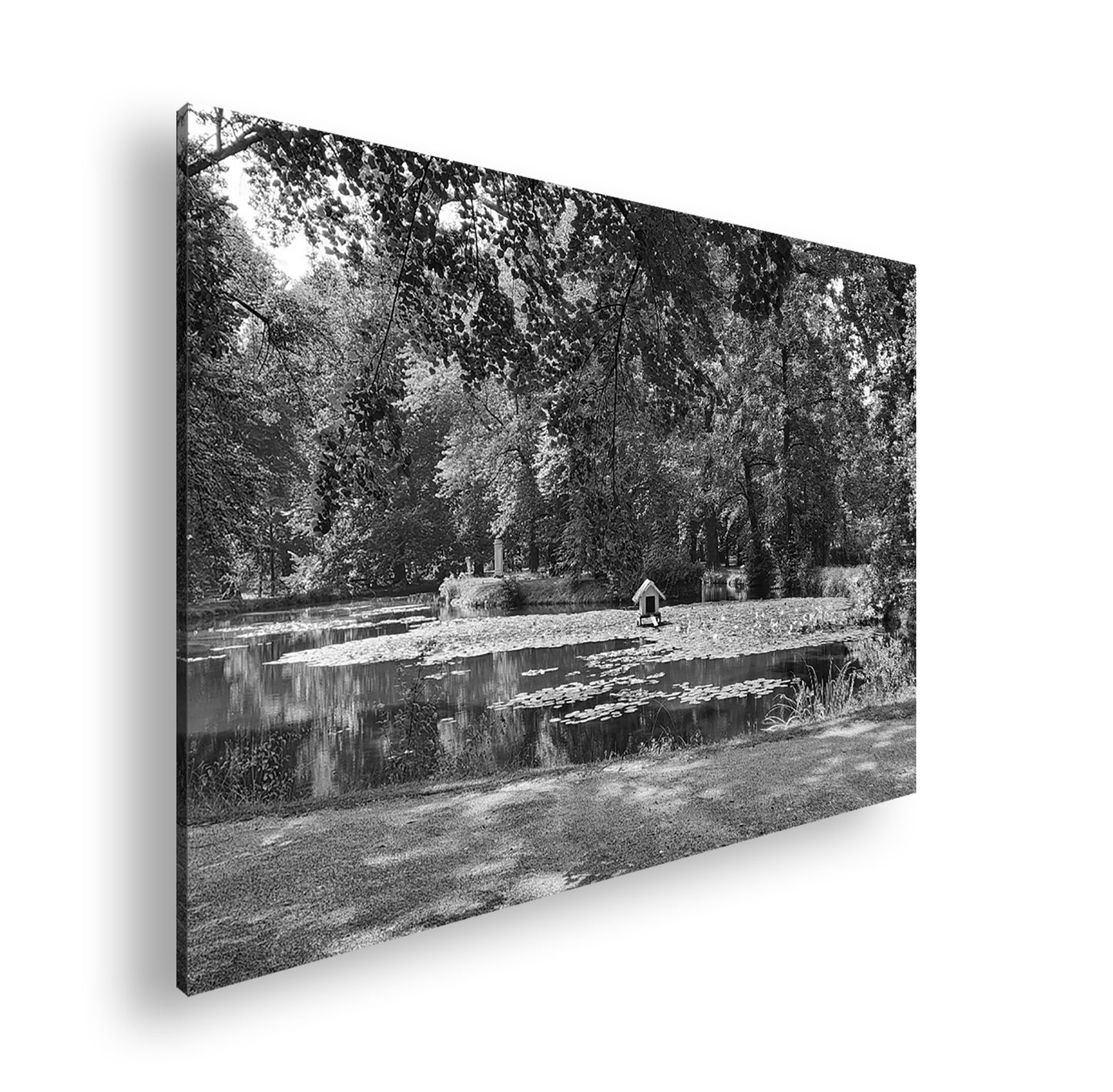 Hauptbild Schwarz & Weiß Standart