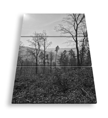 Hauptbild Schwarz & Weiß 3 Teilig