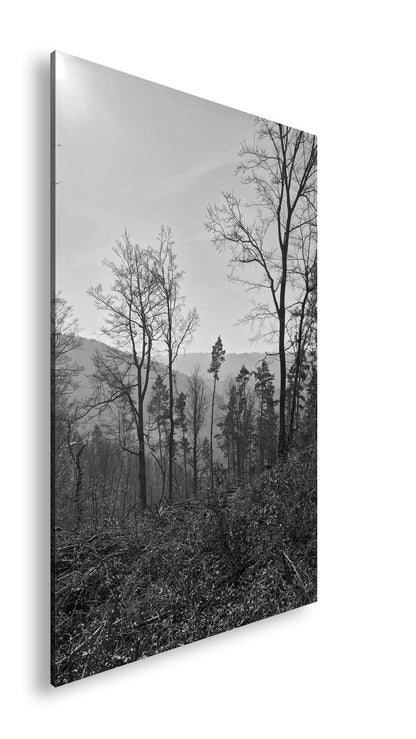 Hauptbild Schwarz & Weiß Standart