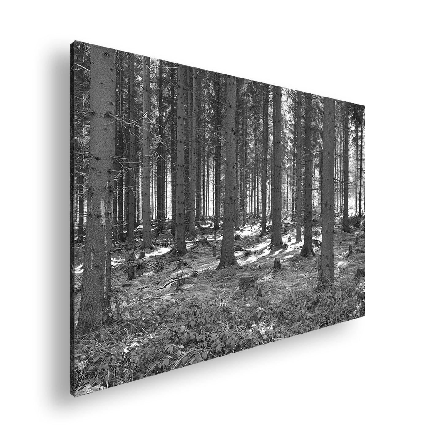 Hauptbild Schwarz & Weiß Standart