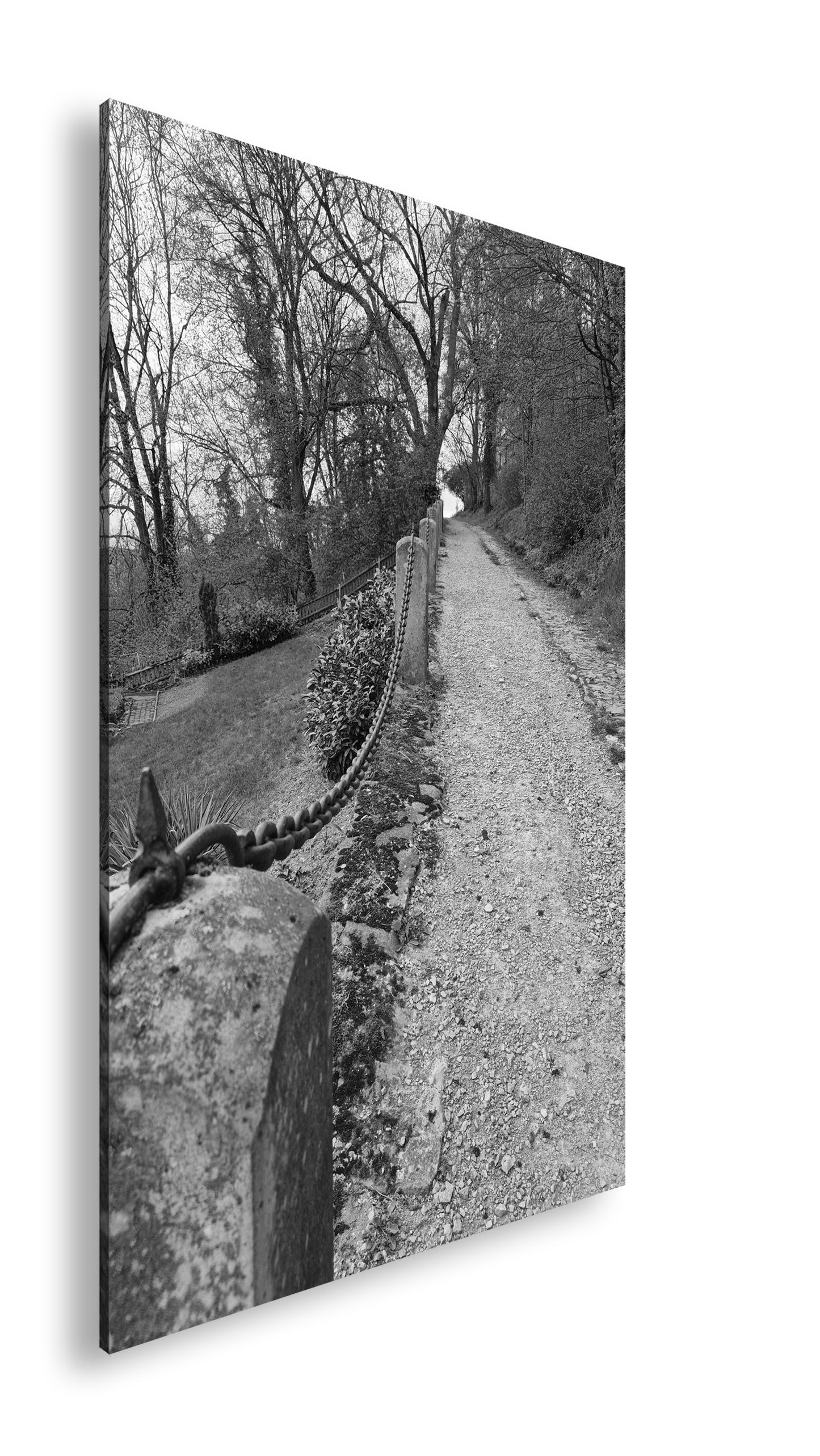 Hauptbild Schwarz & Weiß Standart