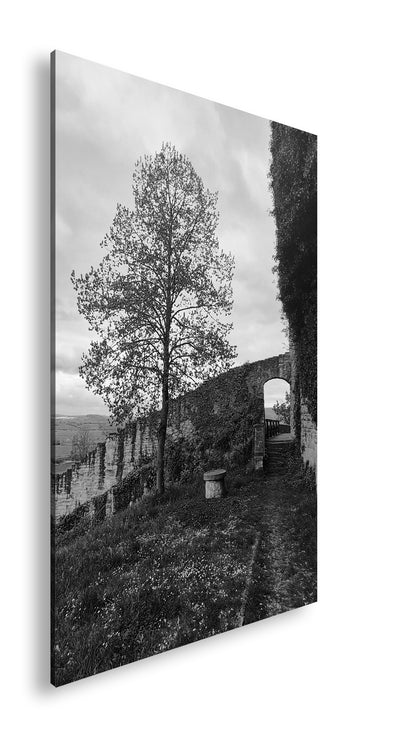 Hauptbild Schwarz & Weiß Standart