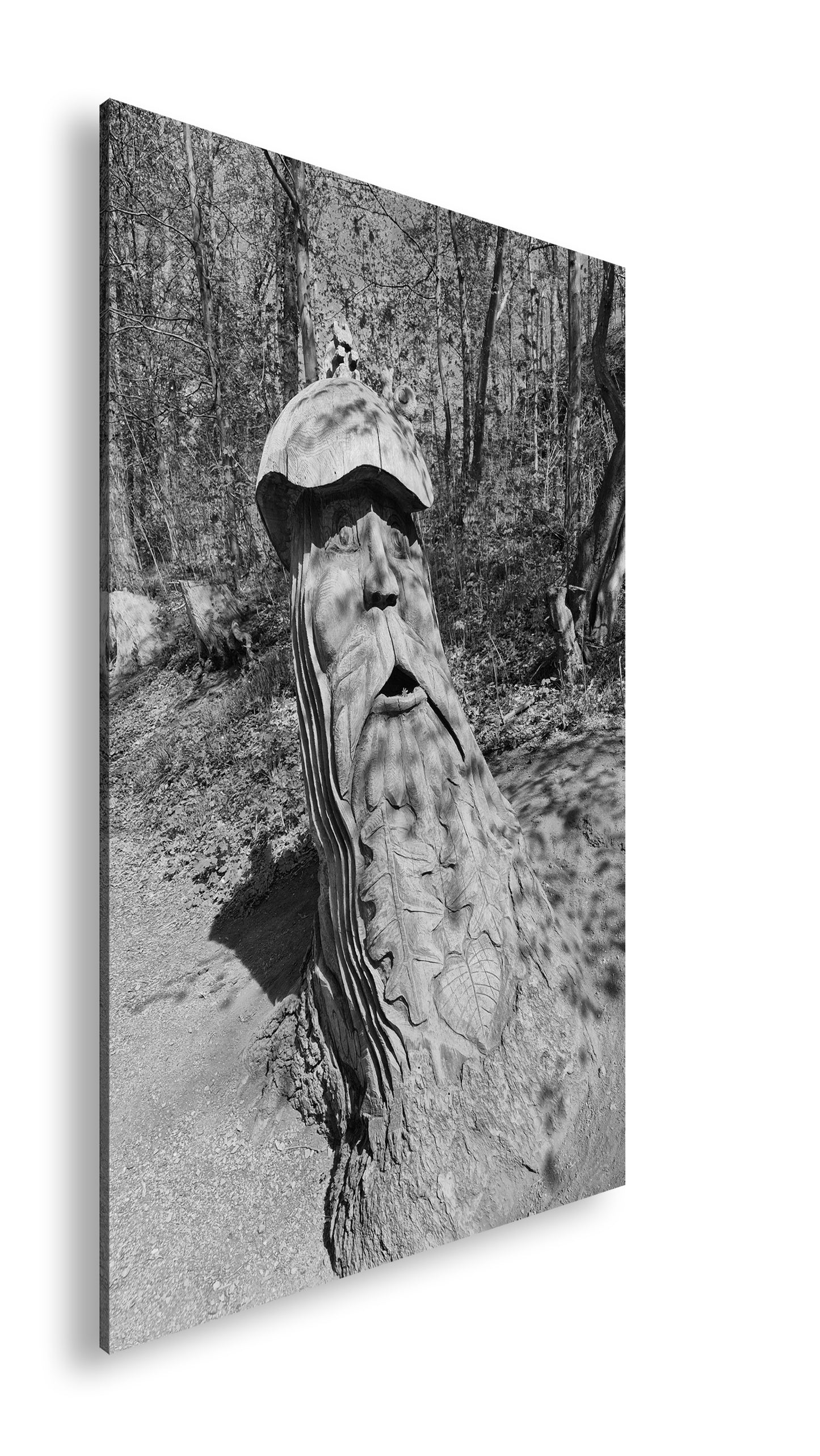 Hauptbild Schwarz & Weiß Standart