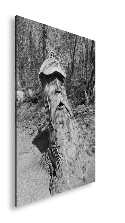 Hauptbild Schwarz & Weiß Standart