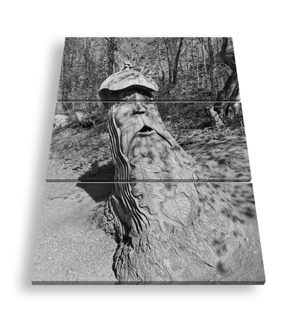 Hauptbild Schwarz & Weiß 3 Teilig