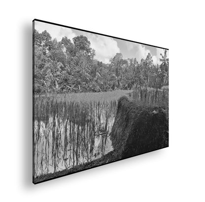 Hauptbild Schwarz & Weiß Standart