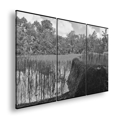 Hauptbild Schwarz & Weiß 3 Teilig