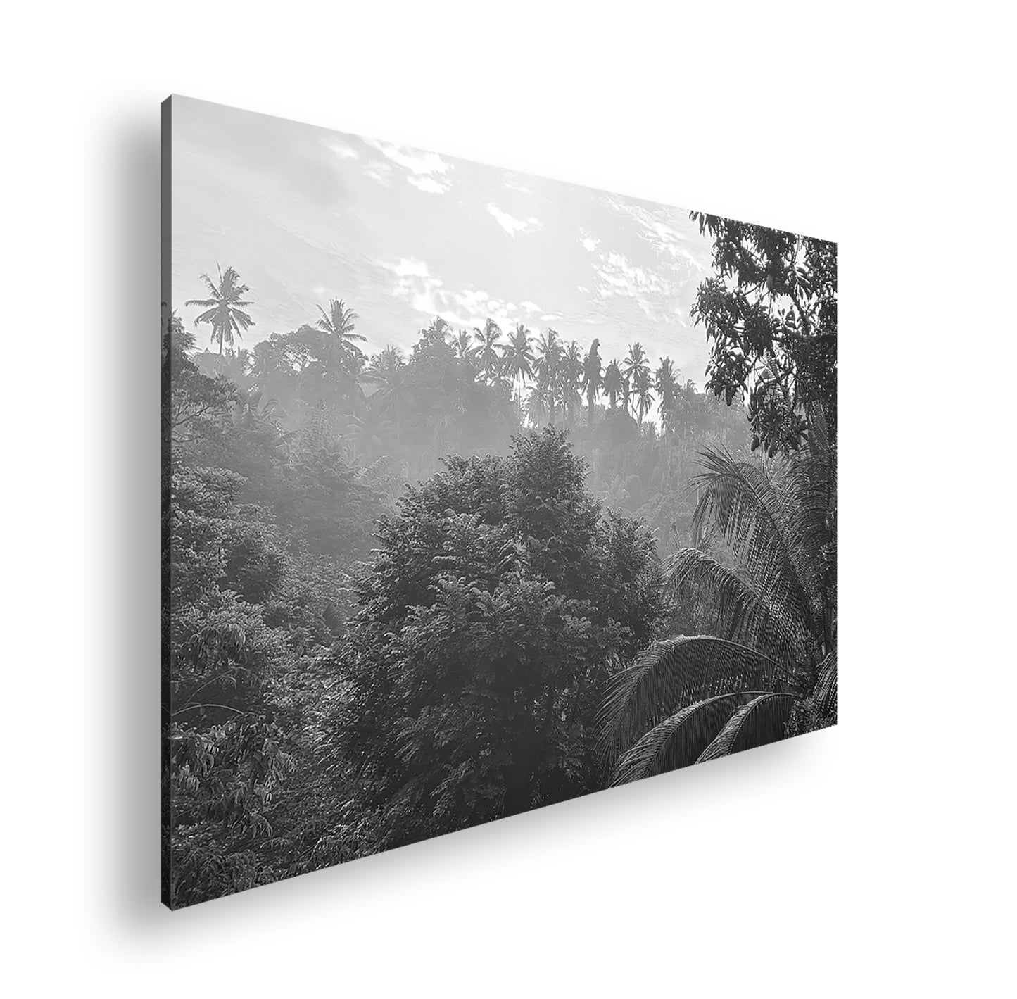 Hauptbild Schwarz & Weiß Standart