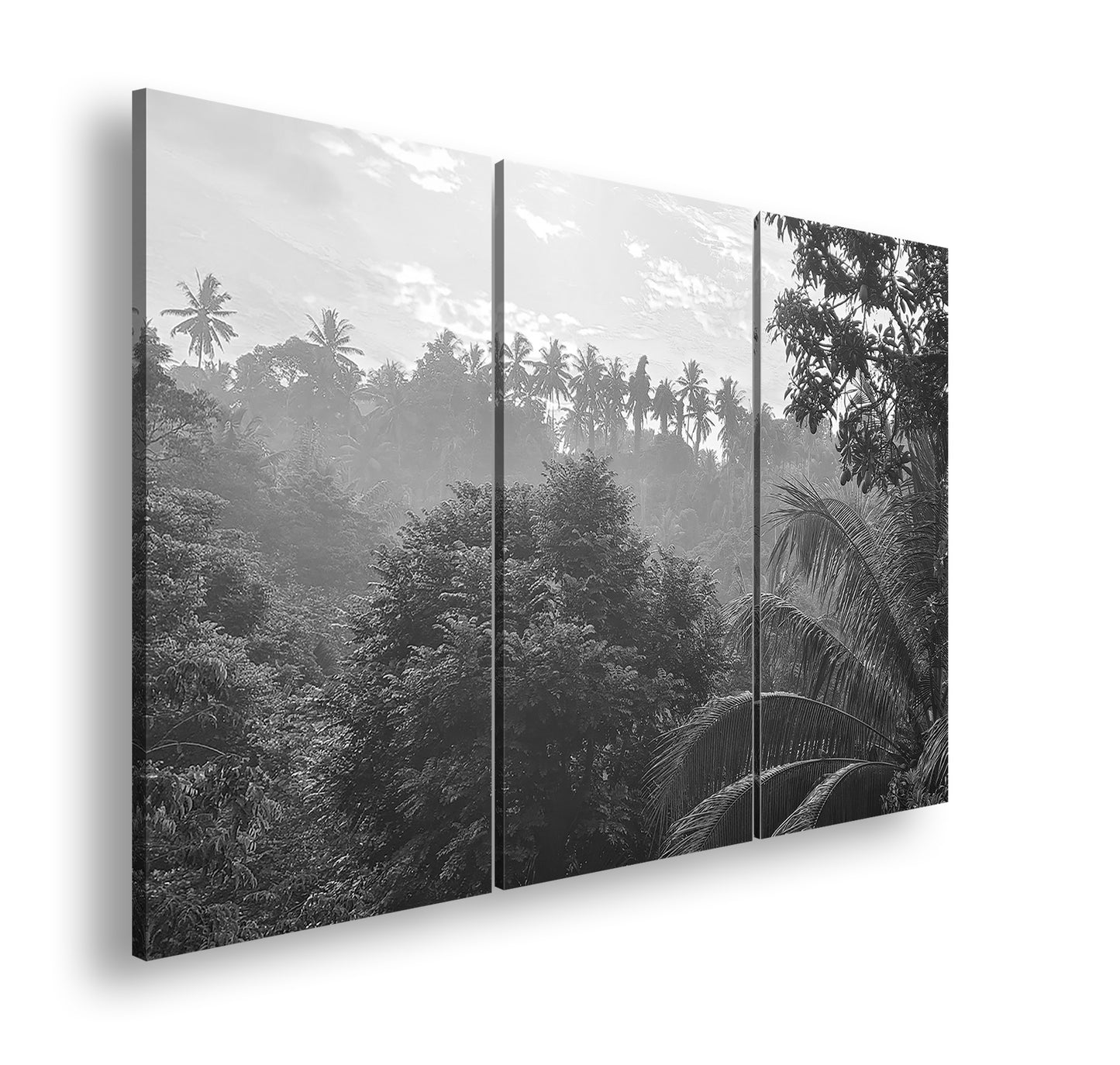 Hauptbild Schwarz & Weiß 3 Teilig