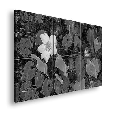 Hauptbild Schwarz & Weiß 3 Teilig