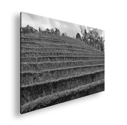 Hauptbild Schwarz & Weiß Standart