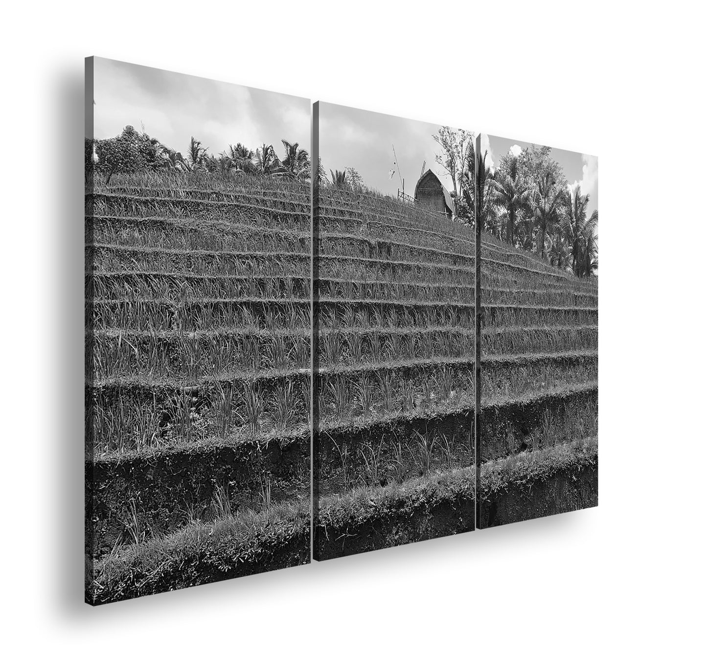 Hauptbild Schwarz & Weiß 3 Teilig