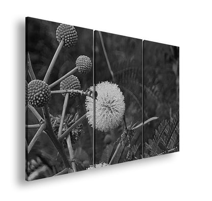 Hauptbild Schwarz & Weiß 3 Teilig