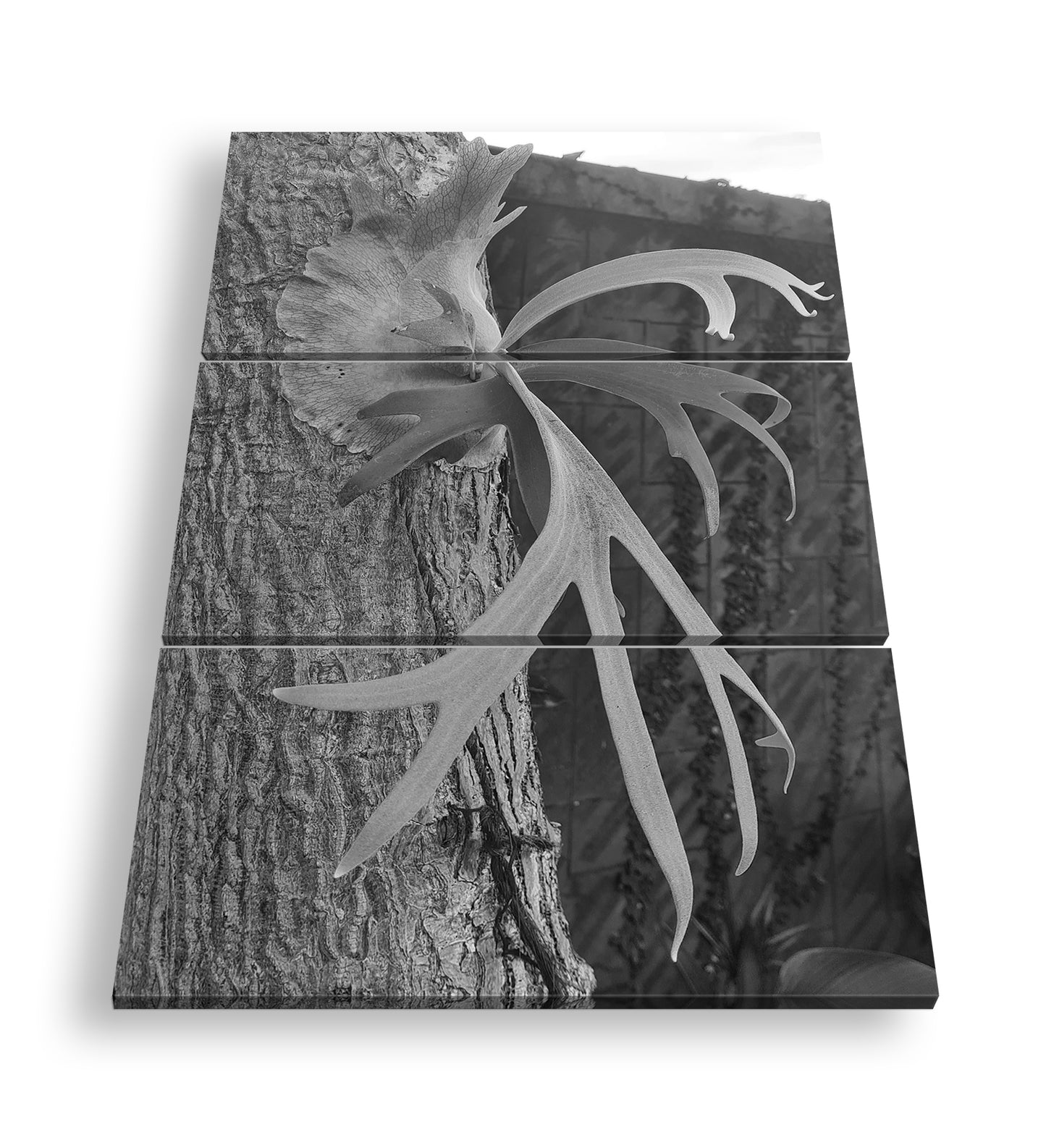 Hauptbild Schwarz & Weiß 3 Teilig