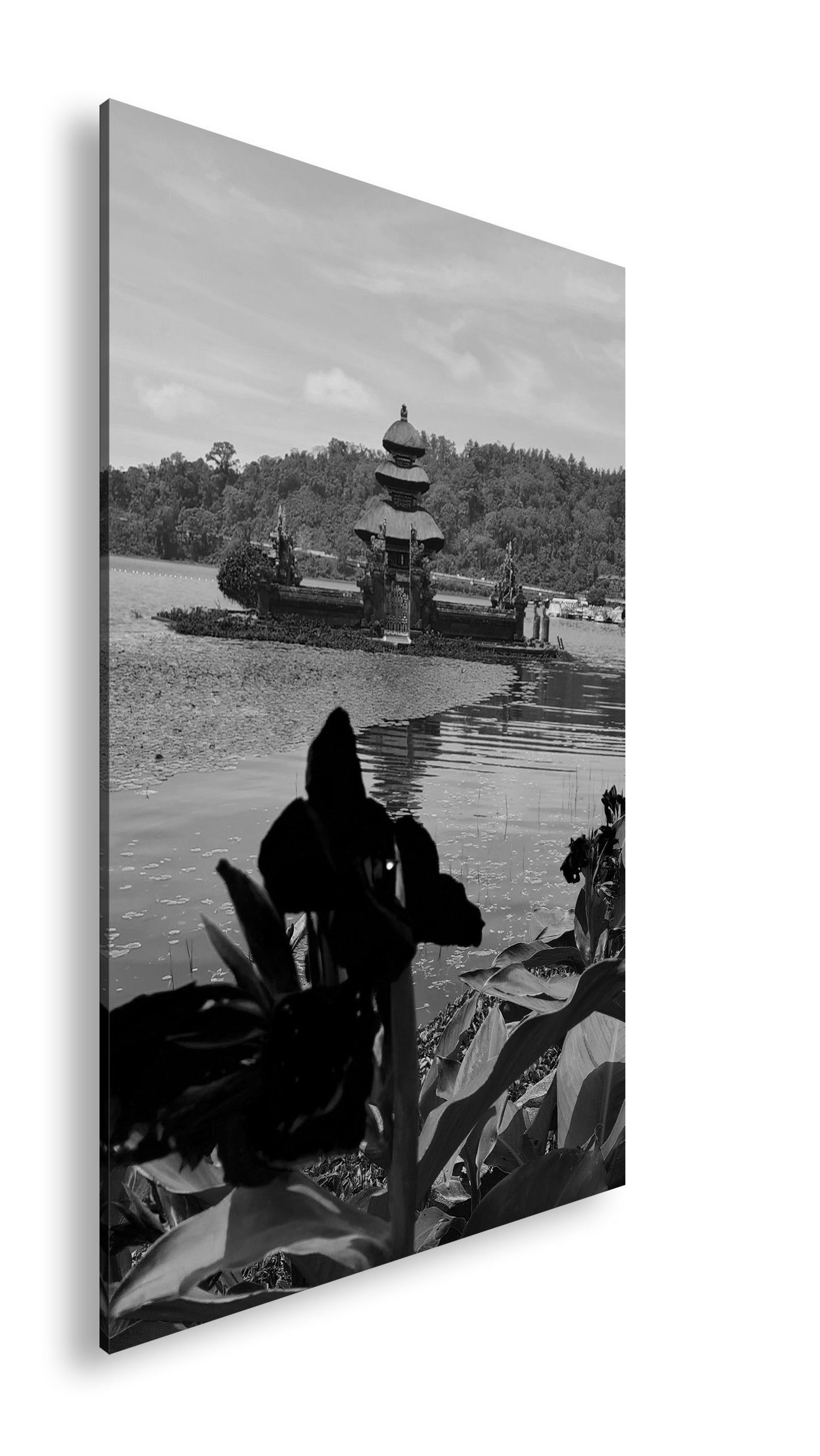 Hauptbild Schwarz & Weiß Standart