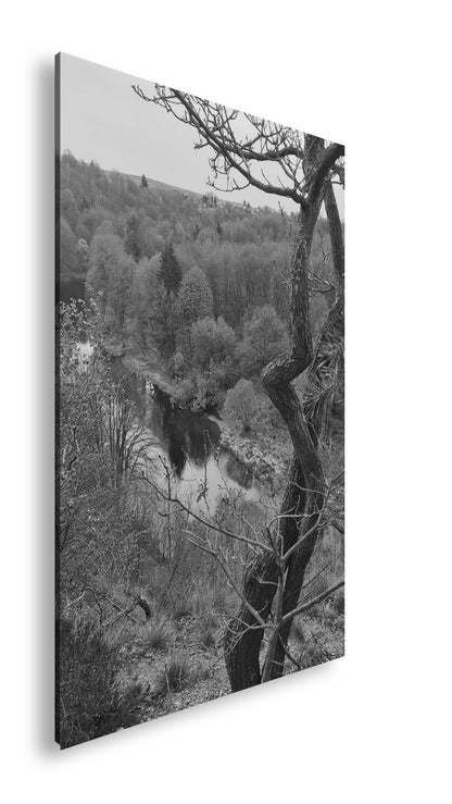 Hauptbild Schwarz & Weiß Standart