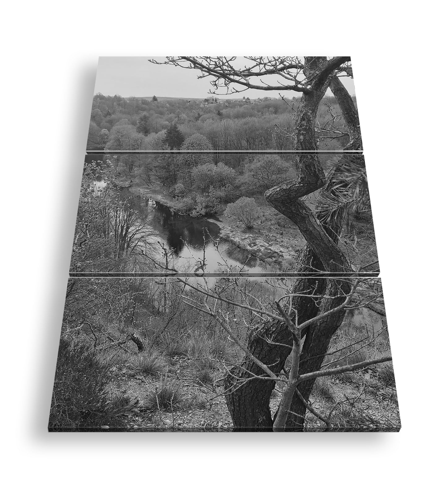 Hauptbild Schwarz & Weiß 3 Teilig