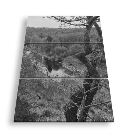 Hauptbild Schwarz & Weiß 3 Teilig