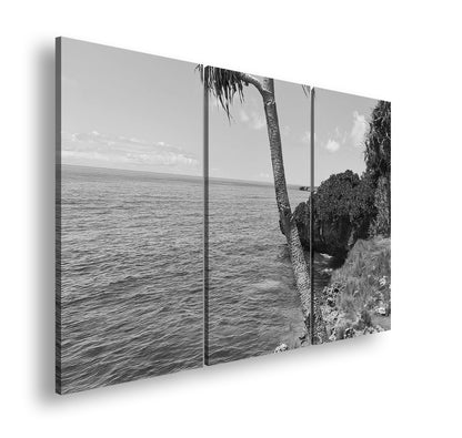 Hauptbild Schwarz & Weiß 3 Teilig