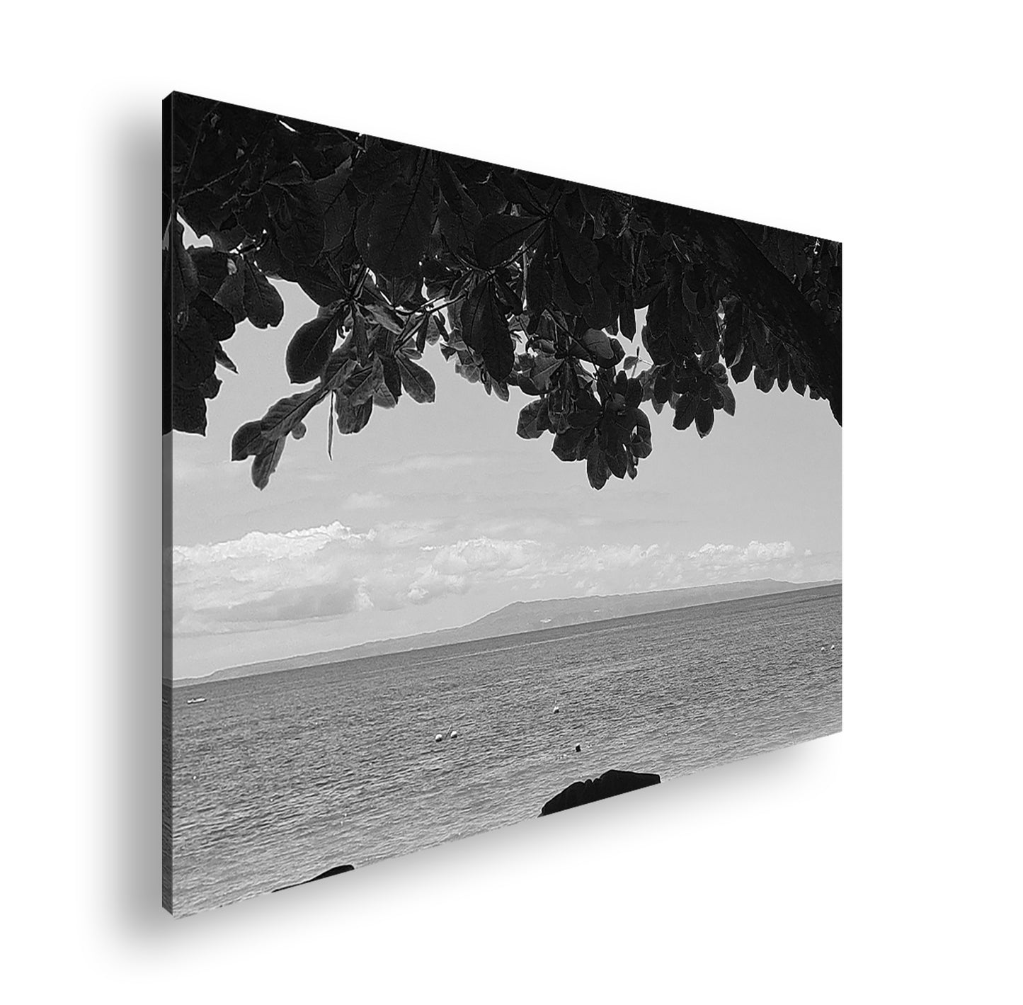 Hauptbild Schwarz & Weiß Standart