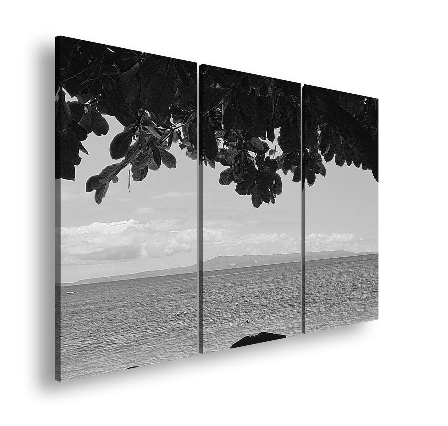 Hauptbild Schwarz & Weiß 3 Teilig