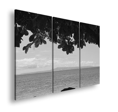 Hauptbild Schwarz & Weiß 3 Teilig