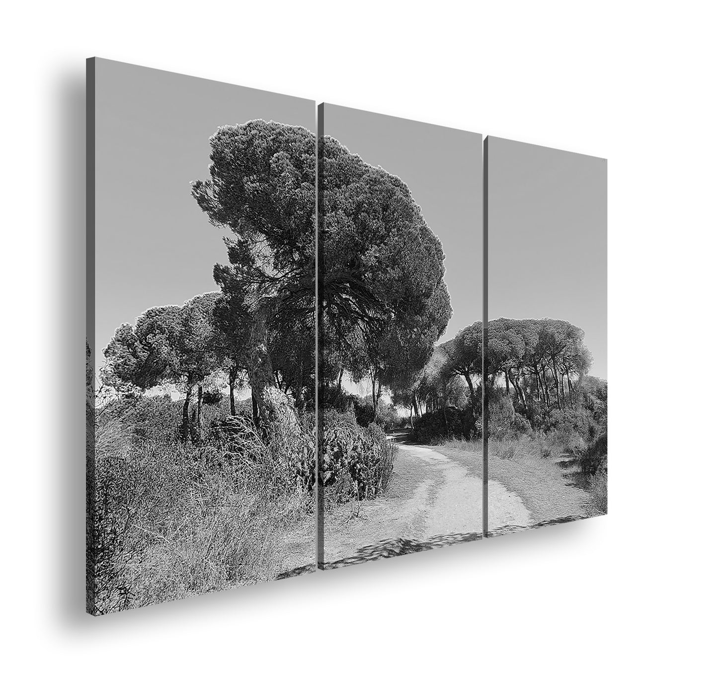 Hauptbild Schwarz & Weiß 3 Teilig