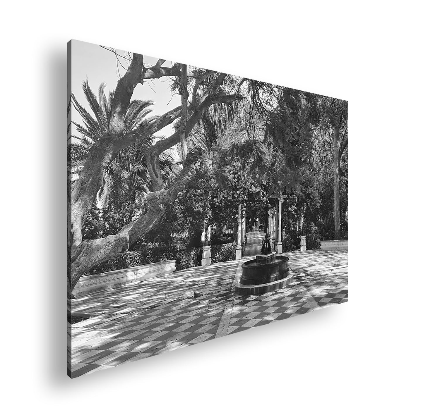 Hauptbild Schwarz & Weiß Standart