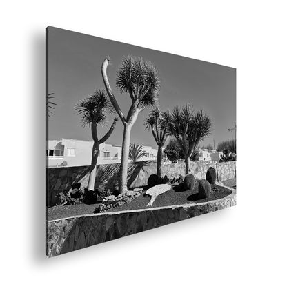 Hauptbild Schwarz & Weiß Standart