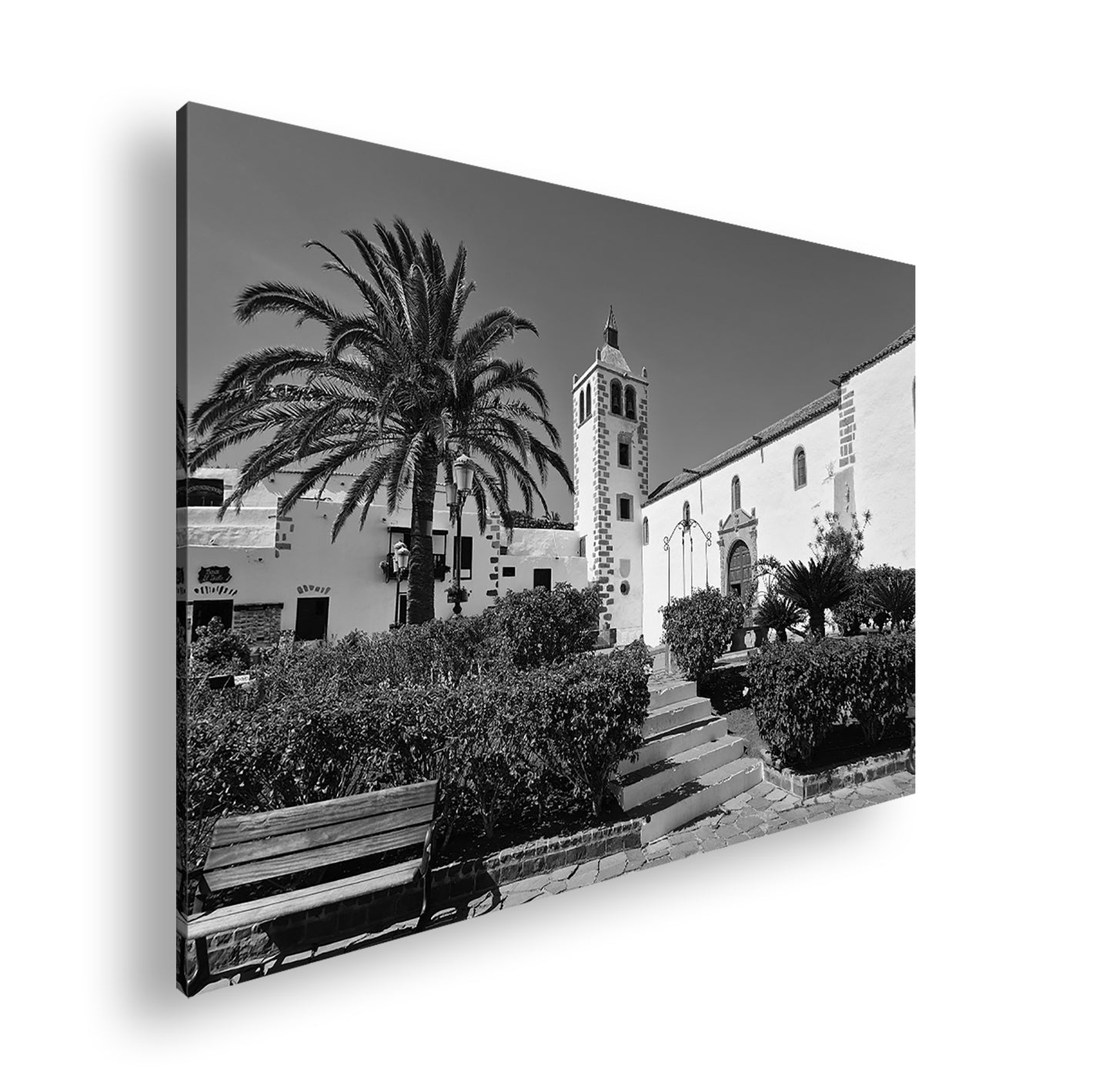 Hauptbild Schwarz & Weiß Standart