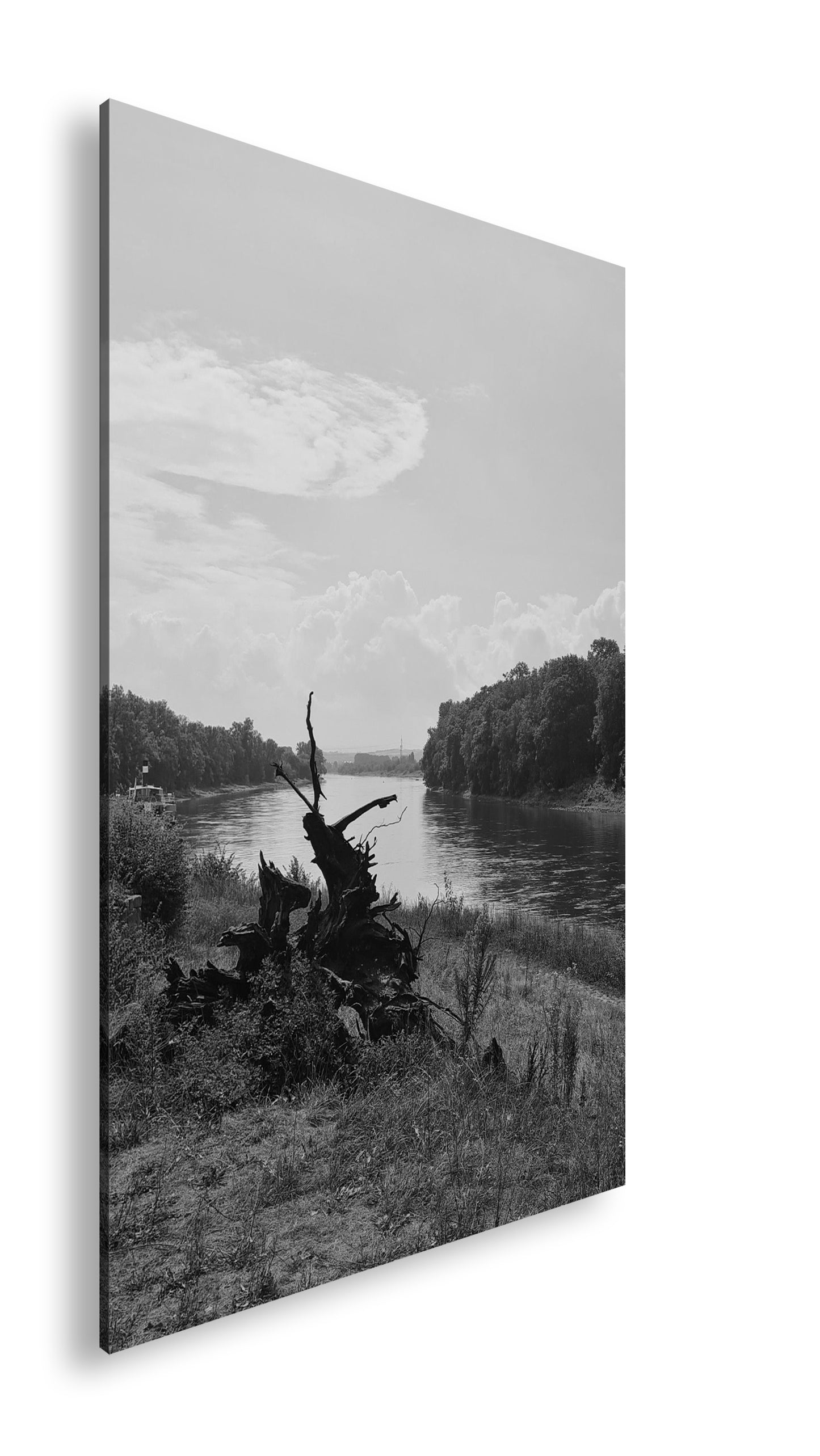 Hauptbild Schwarz & Weiß Standart