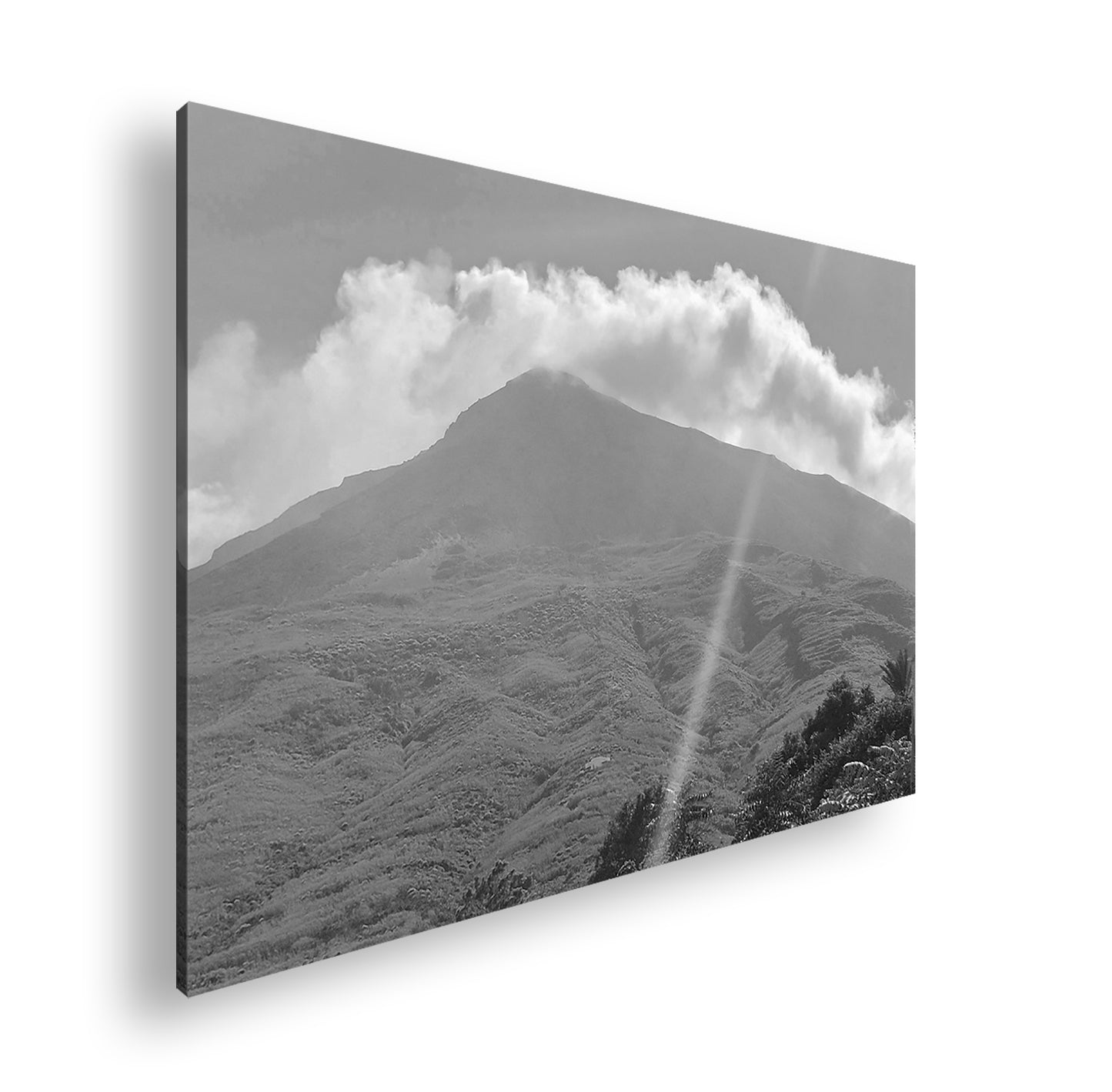 Hauptbild Schwarz & Weiß Standart