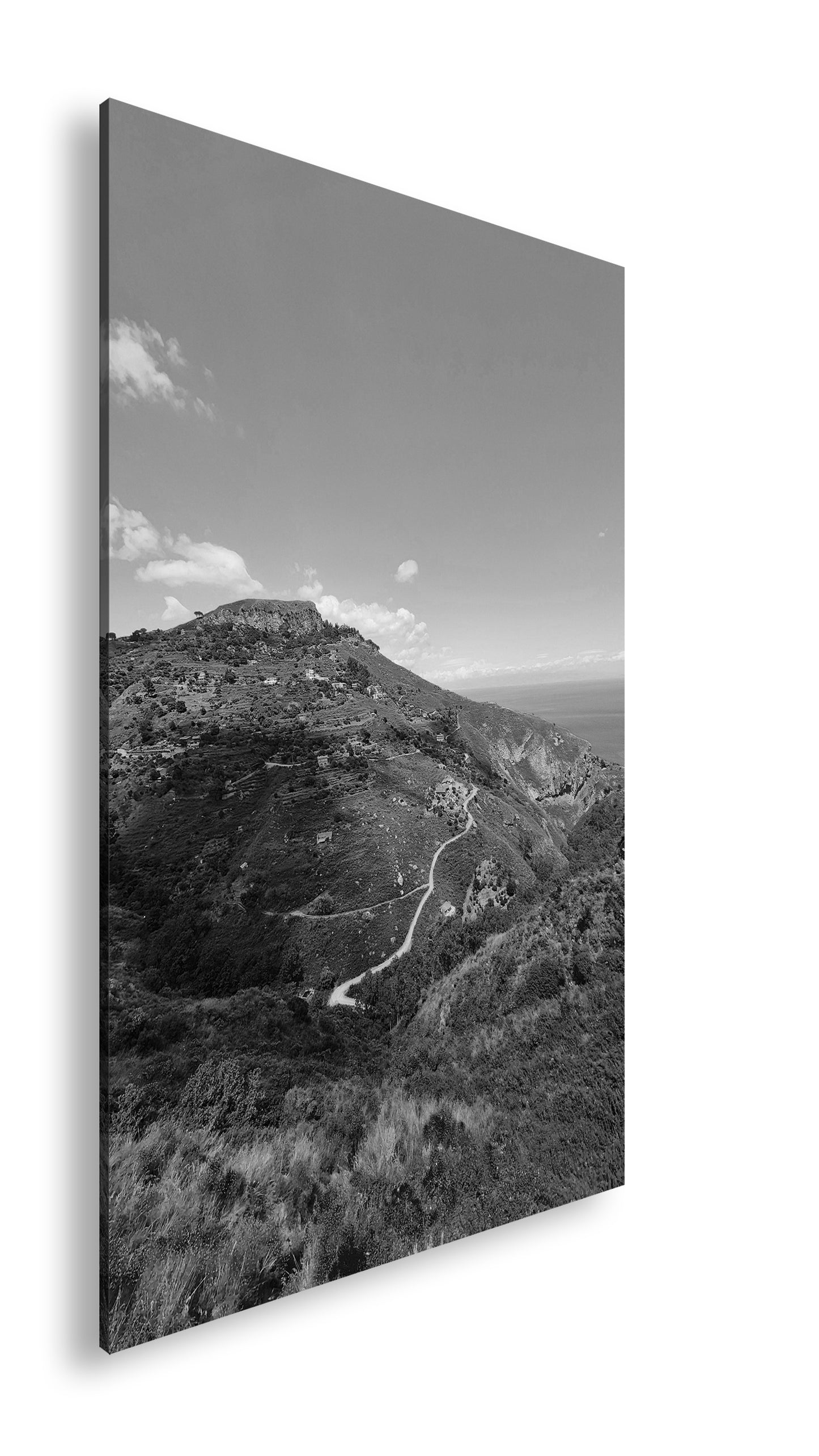 Hauptbild Schwarz & Weiß Standart